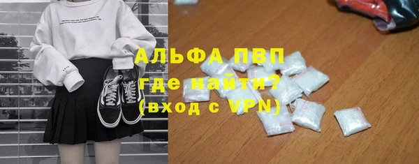 крисы Алексин
