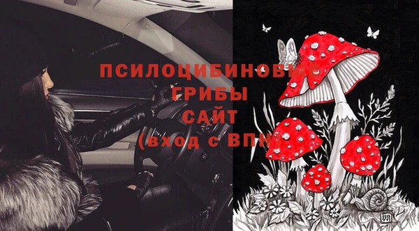 крисы Алексин
