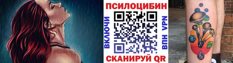 Купить закладки  Тюмень  Галлюциногенные грибы мицелий 